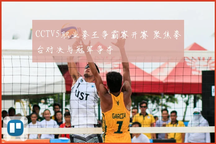 CCTV5职业拳王争霸赛开赛 聚焦拳台对决与冠军争夺