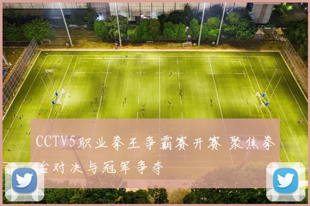 CCTV5职业拳王争霸赛开赛 聚焦拳台对决与冠军争夺